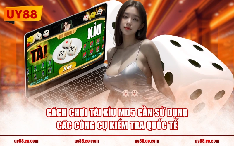 Cách chơi Tài Xỉu MD5 cần sử dụng các công cụ kiểm tra quốc tế