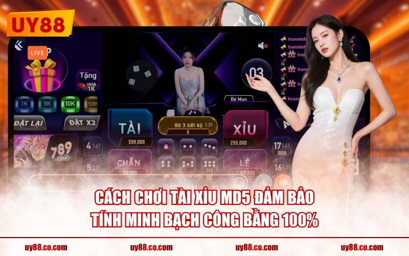Cách chơi Tài Xỉu MD5 đảm bảo tính minh bạch công bằng 100%