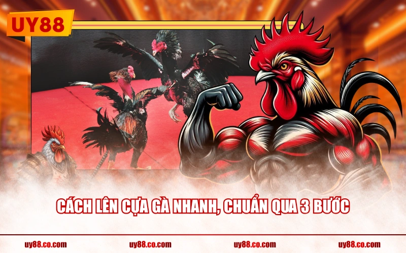 Cách lên cựa gà nhanh, chuẩn qua 3 bước