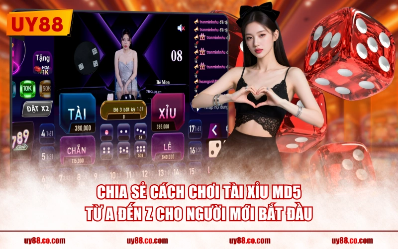 Chia sẻ cách chơi Tài Xỉu MD5 từ A đến Z cho người mới bắt đầu
