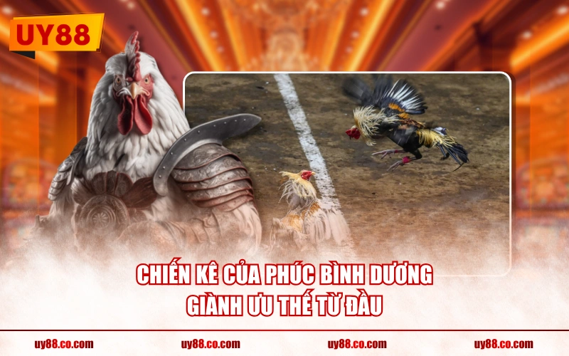 Chiến kê của Phúc Bình Dương giành ưu thế từ đầu
