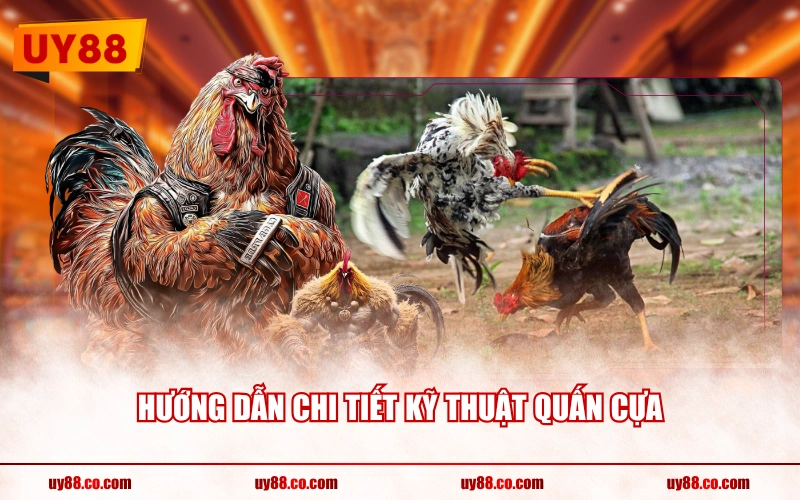 Hướng dẫn chi tiết kỹ thuật quấn cựa