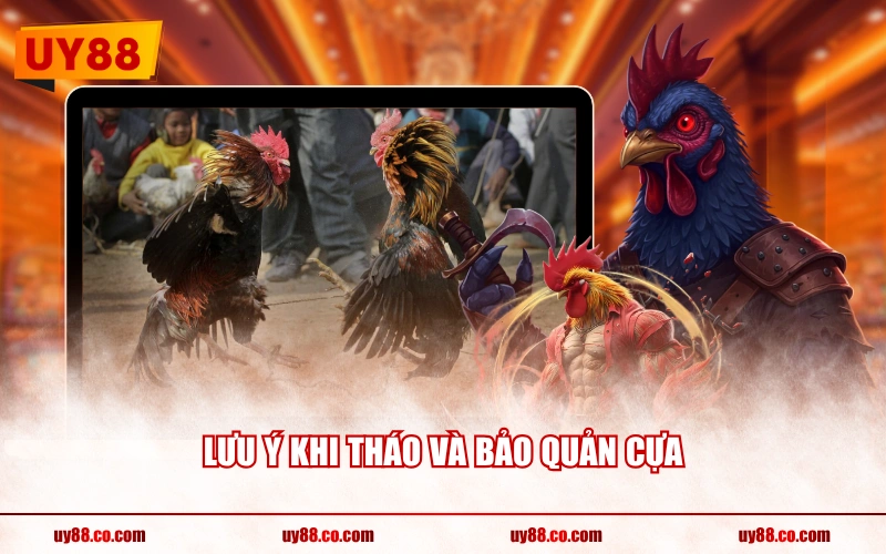 Lưu ý khi tháo và bảo quản cựa