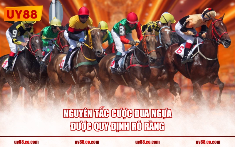 Nguyên tắc cược đua ngựa được quy định rõ ràng
