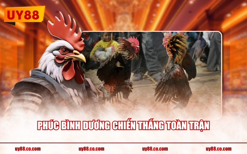 Phúc Bình Dương chiến thắng toàn trận