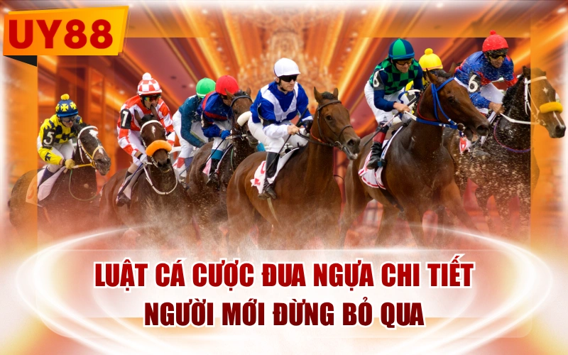 Luật Cá Cược Đua Ngựa Chi Tiết Người Mới Đừng Bỏ Qua