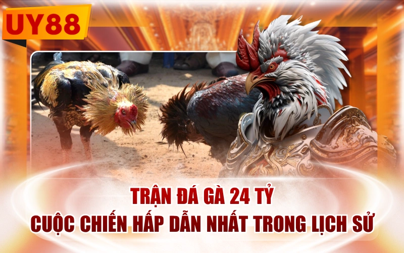Trận Đá Gà 24 Tỷ - Cuộc Chiến Hấp Dẫn Nhất Trong Lịch Sử